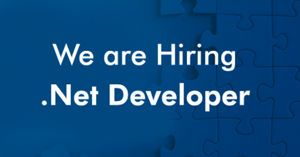 Senior .Net Developer